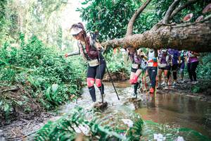 BIB: 
                            <button type="button" onclick="openModal(25516967)" class="btn btn-primary btn-sm float-right btn-popup" data-toggle="modal" data-target=".modal-high-quality">
                        <i class="fas fa-shopping-cart"></i> Add to Cart
                    </button>
                                            <button type="button" onclick="isThisMe(25516967, true)" class="btn btn-success btn-sm float-right btn-popup btn-isme hidden" data-toggle="tooltip" data-placement="bottom" title="นี่คือรูปของคุณใช่ไหม คลิกที่นี่เพื่อเอาเข้าอัลบั้ม">
                        <i class="fas fa-plus"></i> Add to album
                    </button>
                    <button type="button" onclick="isThisMe(25516967, false)" class="btn btn-warning btn-sm float-right btn-popup btn-isnotme hidden">
                        <i class="fas fa-ban"></i> Remove from album
                    </button>